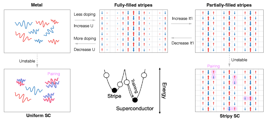 2次元正方格子 Hubbard 模型における超伝導とストライプ相の競合の概念図（arXiv:2511.07566より，CC BY 4.0）