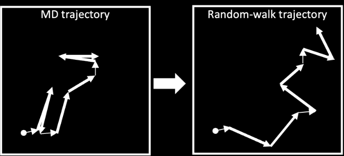 MD軌跡とランダムウォーク軌跡の比較