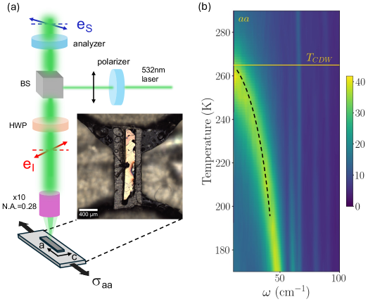 図2 実験セットアップとラマンスペクトルの温度依存性