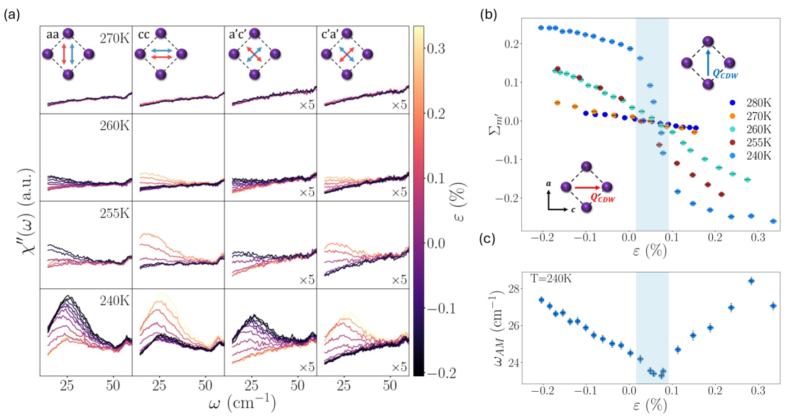 図3 ひずみ・温度依存ラマン応答とΣ_m'の測定
