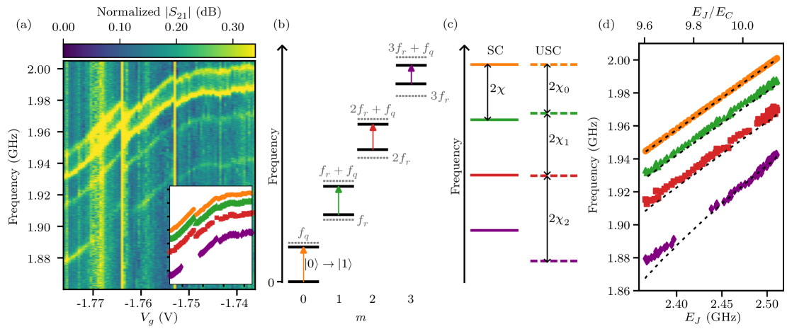 二音調分光スペクトル：光子数依存の遷移