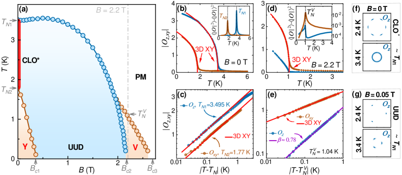 図3 2603.24446 - 相図と秩序変数の場依存性