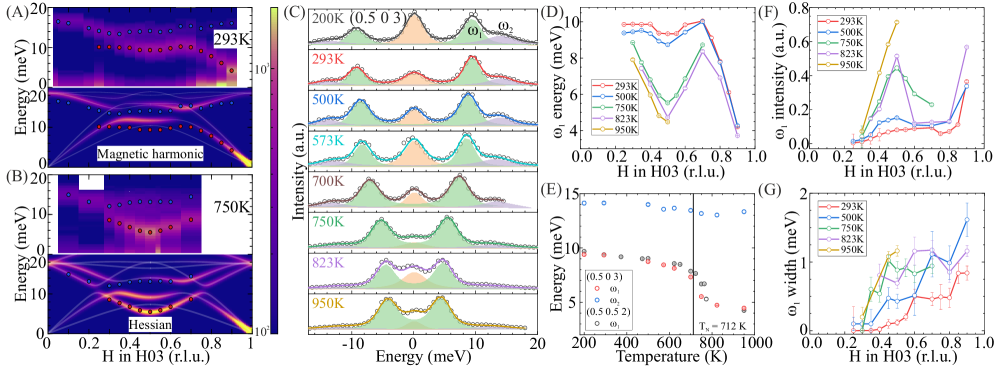 Figure 3: Inelastic X-ray scattering and Kohn-like anomaly in CrSb