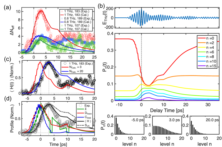 図3：Lindbladシミュレーションと有効参加数