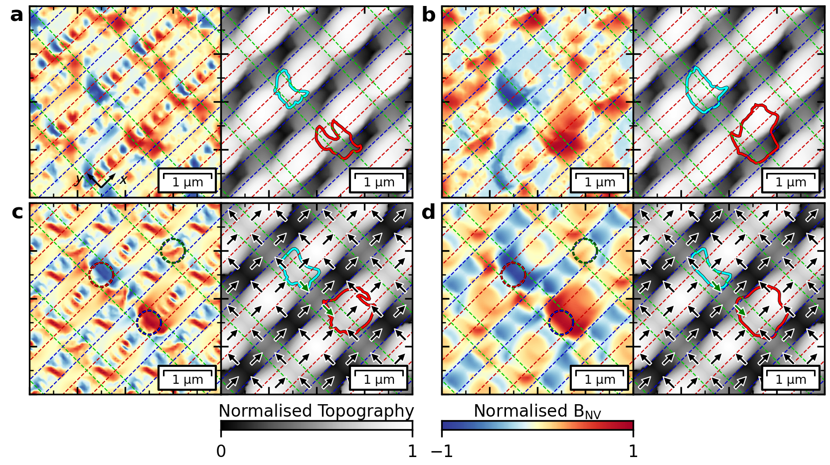 図7：三次元人工スピンアイスにおける磁気モノポールの NV 磁気計測。モノポール頂点（右）では強い発散型磁場が観測され、アイスルール頂点（左）とは明確に異なる。