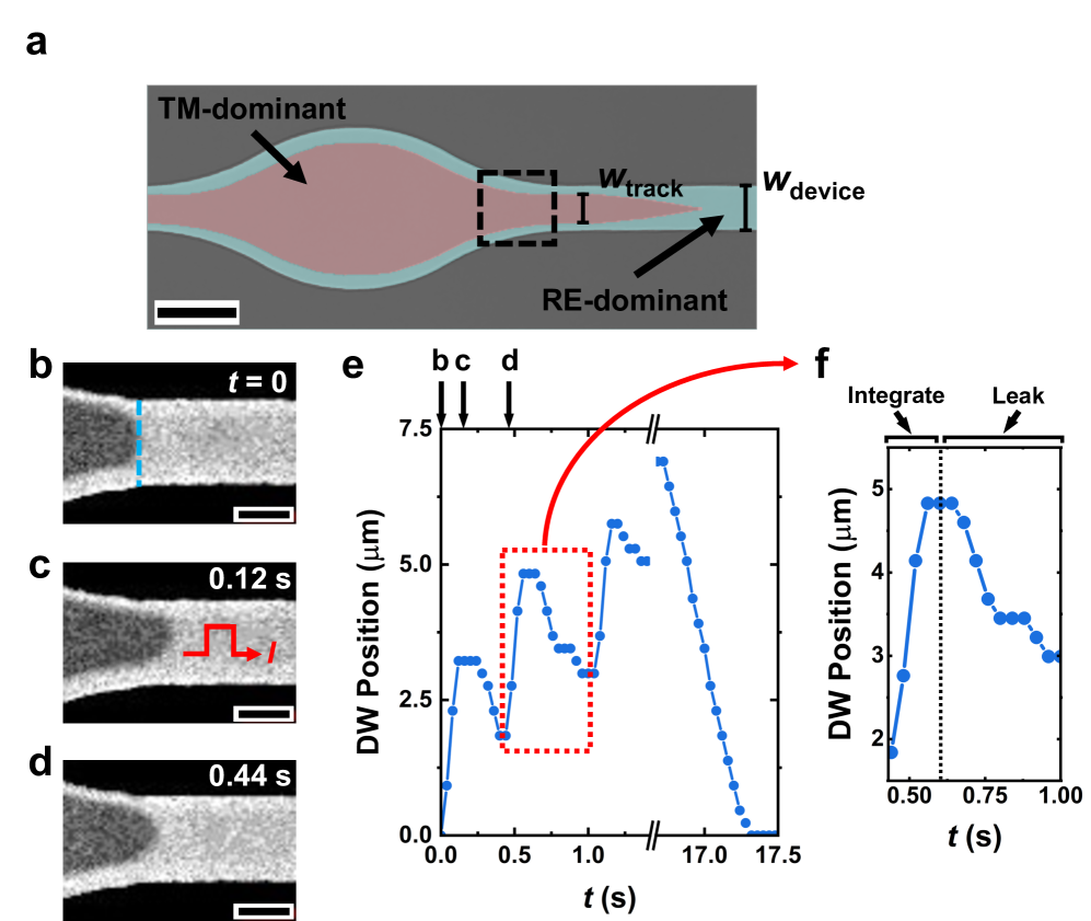 arXiv:2508.14252 Fig.4: 磁壁ニューロンの漏洩積分とパッシブリセット動作（CC BY 4.0）