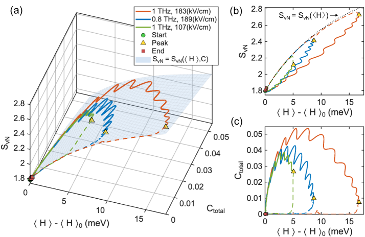 図4：コヒーレンス拡張型熱力学的閉包