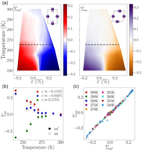図4 温度–ひずみ相図とΣ_m'·Σ_mの線形相関