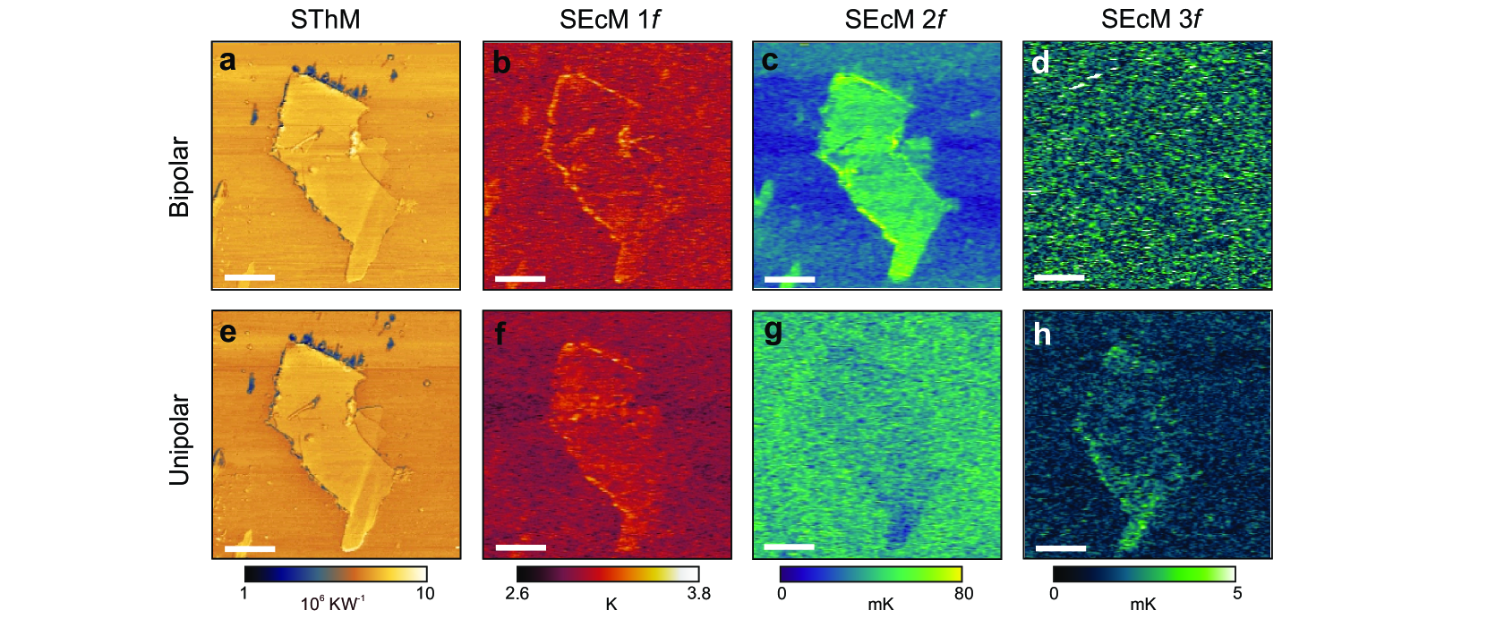2D強誘電体 In₂Se₃ フレーク上の電気熱量マッピング。左から: SThM 熱コンダクタンス像、SEcM 1f 信号（抵抗加熱の分布）、2f 信号（ECE 温度変化、0〜80 mK スケール）、3f 信号（非線形 ECE 応答）。上段：双極励起、下段：単極励起。