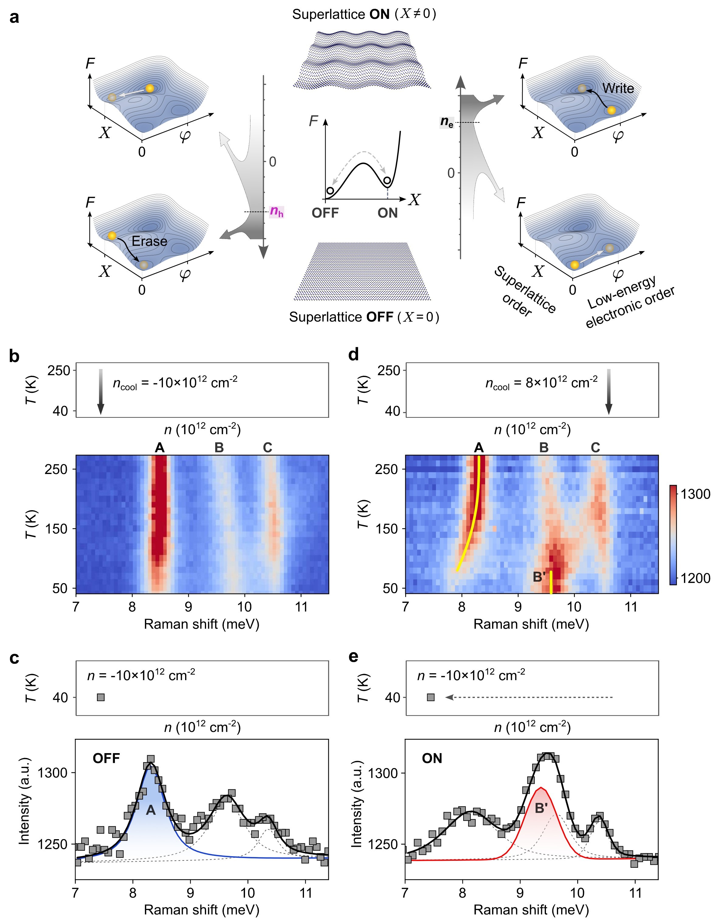 Figure 5: ラマン分光による超格子の同定