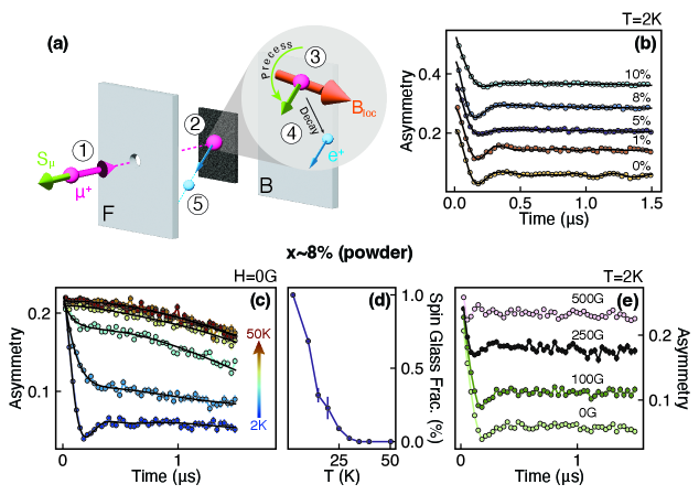 Fig. 5: μSR測定によるスピングラス転移の証拠