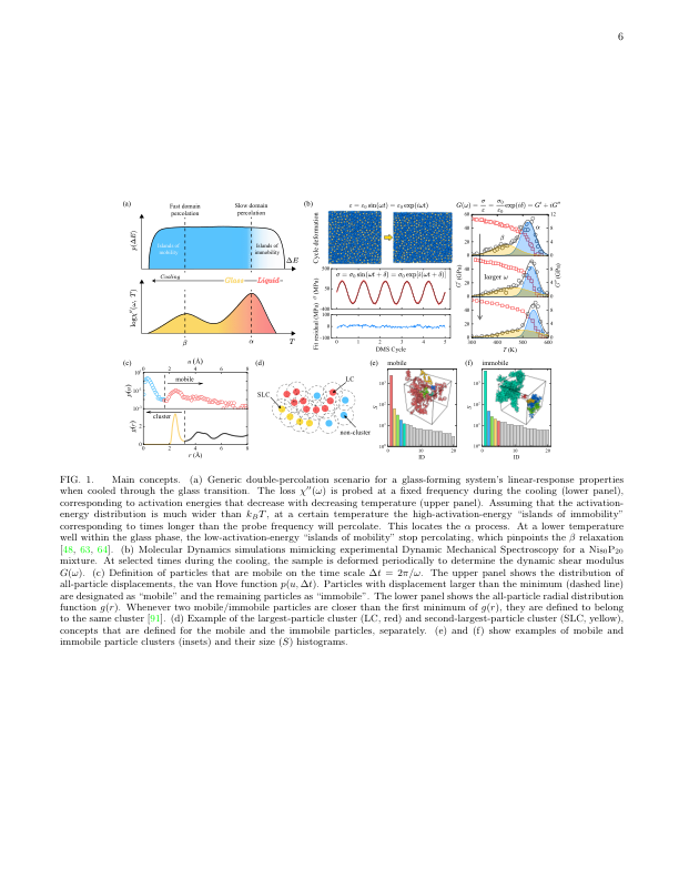 2411.02922 Unified percolation scenario for glass formers