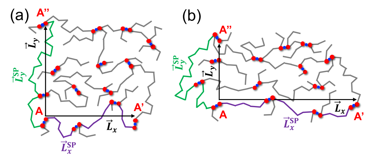 Figure 3: 高分子ネットワークの最短経路（arXiv:2401.11087 Figure 3, CC BY 4.0）